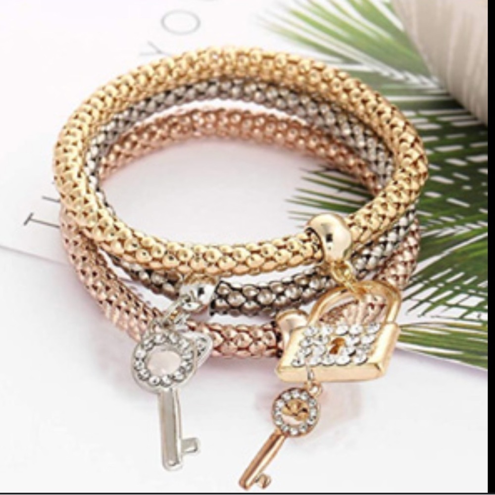 NWT/NIP Charm Bracelet 3 Piece Multilayer Set